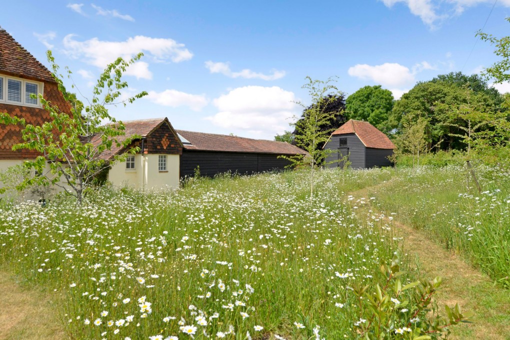 Knowle Lane, Snoxhall Knowle Lane, GU6 - Photo 22