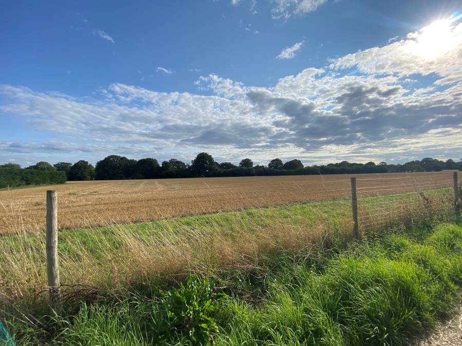 Amber Waterside by Nicholas King Homes, Cranleigh, Surrey, GU6 8NQ Roger Coupe